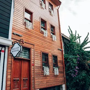 Hotel Gulliver Mansion Istanbul